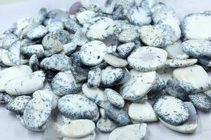 พลอยเดนไดรติกอะเกตสีขาวธรรมชาติทรงรี ขนาดอิสระ สำหรับทำเครื่องประดับขายส่ง - Product Image 3