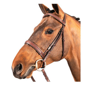 Produits équestres professionnels pour chevaux Conception de matériaux en PVC souple et étanche Ensemble de licou de cheval de style occidental avec raccord en laiton - Product Image 1