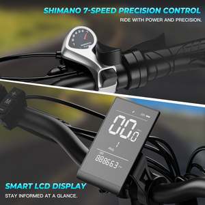 Trottinette électrique Windhorse W4B - Autonomie de 70 miles, vitesse de 20 mph, moteur de 720 W, batterie 48 V/15,6 Ah - Product Image 3