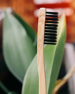 2025 Offre Spéciale écologique antibactérien adultes voyage brosse à dents biodégradable charbon de bambou sans plastique soins bucco-dentaires - Product Image 2