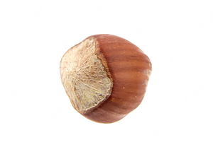Noisettes turques de haute qualité, pelées, grillées, séchées, non décortiquées, en vrac, biologiques et non biologiques, nouvelle saison, en promotion - Product Image 6