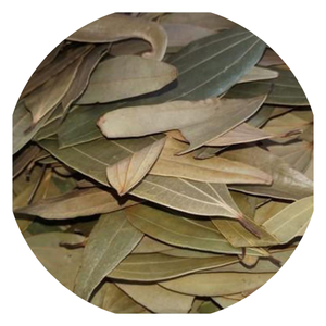 Daun kayu manis Vietnam (Cinnamomum cassia) diekspor dalam jumlah besar