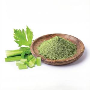 Poudre d'extrait de céleri Ingrédient naturel de céleri pour les aliments fonctionnels et les compléments alimentaires Fournisseur en gros OEM - Product Image 1