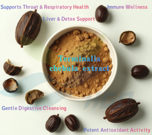 Suministro directo de fábrica HGO de extracto de chebula Terminalia natural puro (grado alimenticio) Especificación 10:1 (extracto de proporción) - Product Image 4