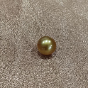 Perla marina dorada de 14 mm de grado AA que exuda una elegancia atemporal, ideal para crear joyas lujosas y adornos elegantes. - Product Image 3