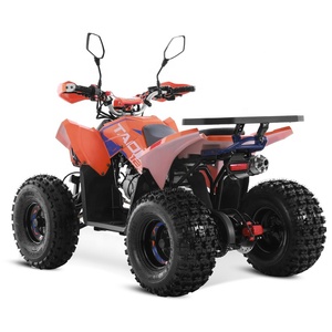 Pièces ATV/UTV Tao Motor 2024 Nouveau modèle Sport 125cc 4 temps <span class=keywords><strong>automatique</strong></span> à transmission par chaîne 1000W <span class=keywords><strong>Quad</strong></span> à essence - Product Image 4