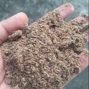 Farine de krill antarctique de haute qualité, additif alimentaire le plus vendu pour bovins et poissons, vente directe - Product Image 3