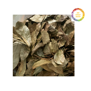 ใบ SOP graviola แบบแห้งคุณภาพเยี่ยม - Product Image 1