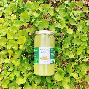 Polvo de gotu kola verde natural con textura suave de malla fina y alta pureza para exportación y distribución local - Product Image 2