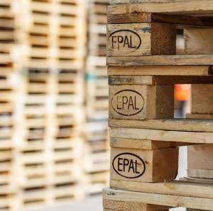 Nuevas paletas de madera Epal/Euro/paleta de madera de pino | Venta de paletas de madera europeas. - Product Image 5