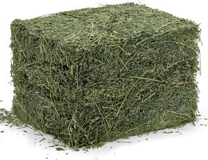 Fuente de proteína a base de trigo de alfalfa de grado alimenticio de Venta caliente para peces, perros, cerdos, ganado a precio mayorista embalado en bolsas - Product Image 1