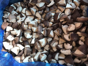 Setas secas de Shiitake orgánico, precio al por mayor, precio competitivo, Ms Sophie - Product Image 5