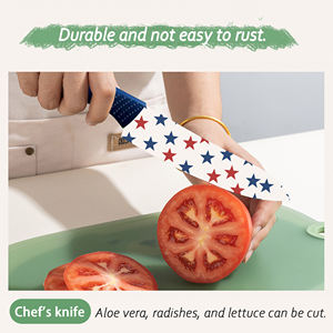 Cuchillo Gyuto Profesional en Existencia, Hoja de Cerámica, Mango de Plástico, Ambidiestro, Apto para Lavavajillas, Duradero, Precio de Fábrica, Envío Gratuito - Product Image 5