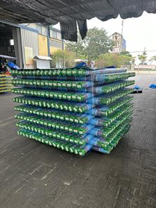 <b>HEAVY</b> <b>DUTY</b> Light Green PE <b>Tarpaulin</b>, High Durability <b>Waterproof</b> Roof Cover, Customizable Colors and Sizes for Truck - Product Image 3