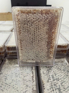 Panal de abeja salvaje multiflor pura, pastel de panal vietnamita, panal de abeja salvaje multiflor auténtico con alta calidad - Product Image 6