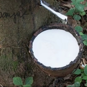 คอลเลกชันยางแบบหมุนเหวี่ยงเกรด HA สินค้ายางธรรมชาติพรีเมี่ยม - Product Image 1