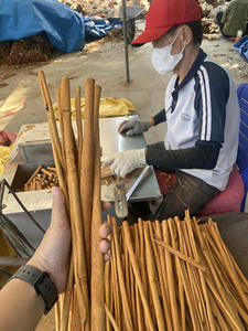 Canela rota Premium al por mayor de Vietnam/canela en rama para té y especias - Product Image 3