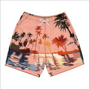 Oferta Especial: Shorts de Baño Personalizados para Hombre, Secado Rápido, Ecológicos, con Cordón Ajustable y Logotipo Frontal, OEM Disponible - Product Image 5