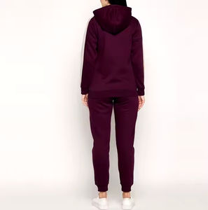 Conjunto de Sudadera con Capucha y Pantalones Deportivos de Dos Piezas con Cierre y Logotipo Personalizado, Transpirable, de Color Sólido, Estampado, Largo Completo, Ropa Deportiva Urbana - Product Image 4