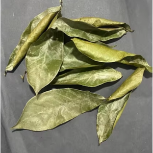 Feuilles de Corossol-Safaty-Naturel-Wildcrafted - Product Image 5