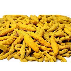 Dedo de cúrcuma fresco de calidad disponible - Product Image 5