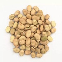 Haricots verts en vrac du Brésil, prix de gros pour la demande mondiale, emballage de 25 kg, 100 % naturels, sans OGM, qualité alimentaire, durée de conservation de 2 ans
