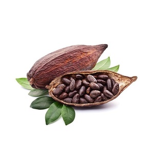 เมล็ดโกโก้เวียดนามคุณภาพสูง 100% จากธรรมชาติ - Product Image 3