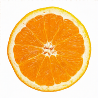 Oranges, Tangerines et Mandarines Fraîches à Prix Abordable en Vente |   Citrus de qualité supérieure à bas prix