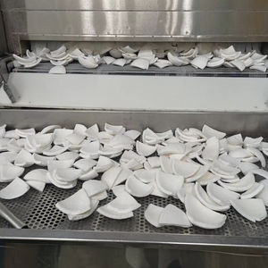 Carne de Coco Congelada Natural de Vietnam, Piezas IQF de Alta Calidad, Sabor Dulce para Repostería y Postres - Product Image 1