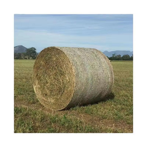 HDPE Anti-UV Bale <strong>Net</strong> <strong>Wrap</strong> Biodegradable <strong>Plastic</strong> Mesh <strong>Pallet</strong> <strong>Nets</strong> for Hay &amp; Agriculture HDPE New Design - Product Image 1