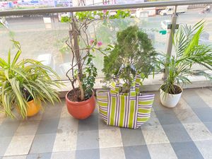 Bolsas de compras de nylon Respetuosas con el medio ambiente Tejido grande PP Plástico de polipropileno reciclado sostenible Opciones a granel a rayas para supermercado - Product Image 5