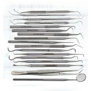 17 Pcs Dental <b>Pick</b> <b>Set</b> Stainless Steel Professional Teeth Cleaning Scaler & Explorer Kit dental <b>set</b> surgical instruments CE - Product Image 3