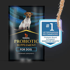 Suplemento de polvo probiótico Gubeyka para perros Suplemento nutricional canino Caja de 30 sobres - Product Image 3