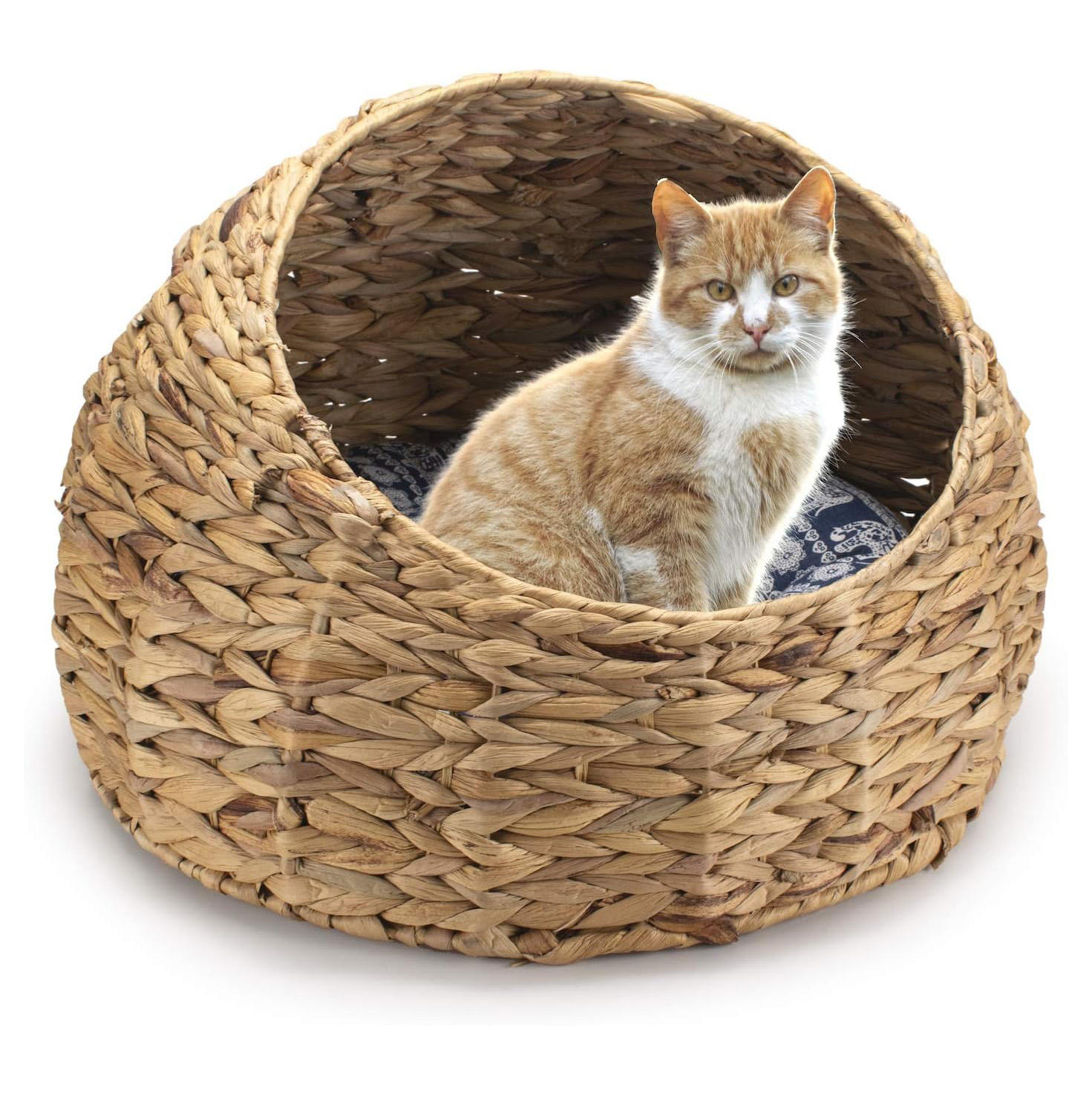 ธรรมชาติ