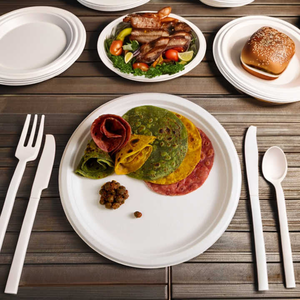 Platos Desechables de Bagazo al por Mayor, Vajilla Ecológica Biodegradable de Caña de Azúcar para Restaurantes, Cafeterías, Servicios de Catering y Fiestas - Product Image 1