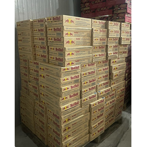 Vente en gros de boissons énergisantes RedBull au ginseng infusé pour la vente au détail et l'exportation - Product Image 5