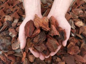 Livraison rapide, écorce de bois, paillis, écorce de pin, matière première, extrait d'écorce de pin en poudre - Product Image 6