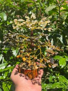 ต้นไม้เงินพลอยธรรมชาติสำหรับตกแต่งบ้านและคริสต์มาสสำหรับฮวงจุ้ยวาสตู - Product Image 4