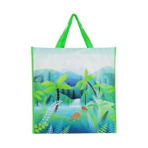 ถุงช้อปปิ้งผ้า PP ทอ - ลวดลายและหูหิ้วปรับแต่งได้ มีหลายขนาดให้เลือก - Product Image 2