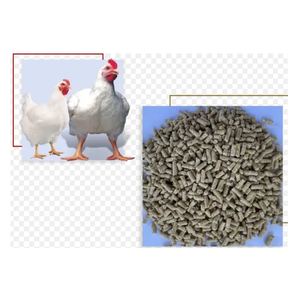 Alimentation abordable pour poulets de chair directement de l'usine disponible en gros pour l'élevage de volailles - Product Image 6