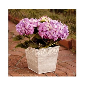 Soporte de maceta de Metal moderno, diseño Vintage elegante, detalles antiguos, tamaño de forma personalizado para macetas de jardín para el hogar - Product Image 5