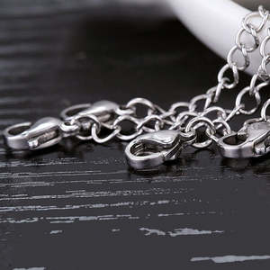 Cadena Extensora Plateada en Plata 925 con Cierre de Langosta para Collar y Pulsera, Extensión Anti-deslustre, Joyería Marca Chakralume Rajasthan - Product Image 4