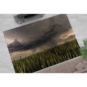 Tapis Paysage Champêtre : Vue sur la Nature Orageuse, Tapis Imprimé, Tapis Doux Non Tissé - Product Image 4