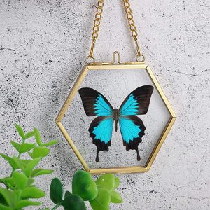 Elegant hexagon hanging photo <b>frame</b> crafted from polished brass and clear glass designed to display a single photo - Product Image 1