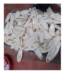 สำหรับตกแต่งกรงนกปลาหมึกแบบแห้งมีหลายขนาดจากกระดูกปลาหมึกเวียดนาม - Product Image 1