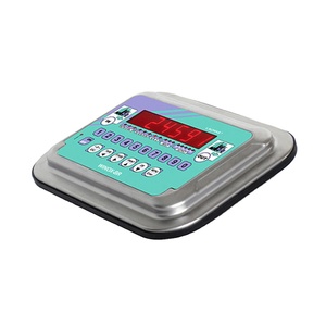 Indicateur de pesage en acier inoxydable WINOX-BR de qualité exceptionnelle, très demandé, pour la pesée de charges lourdes - Product Image 1