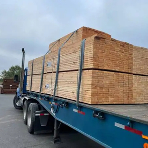 Vente en gros de meilleure qualité 2mm 3mm 4mm feuille de contreplaqué de bouleau Liste des prix du bois de construction DOUGLAS - Product Image 3