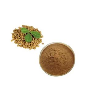 مصنع بيع بالجملة حار بيع بذور الحلبة الطبيعية مسحوق خلاصة الحلبة - Product Image 5