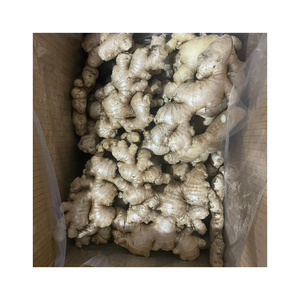 Gingembre frais de qualité avec une texture ferme et un arôme épicé naturel longue durée de conservation offert dans un emballage personnalisé pour les entreprises d'exportation - Product Image 5