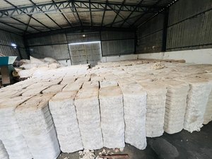Fibras de Algodón Crudo Combed en Pacas, Material Natural Blanco a Granel para Relleno y Tela No Tejida - Product Image 1